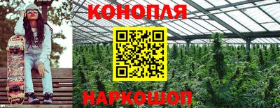 гашик Краснодар