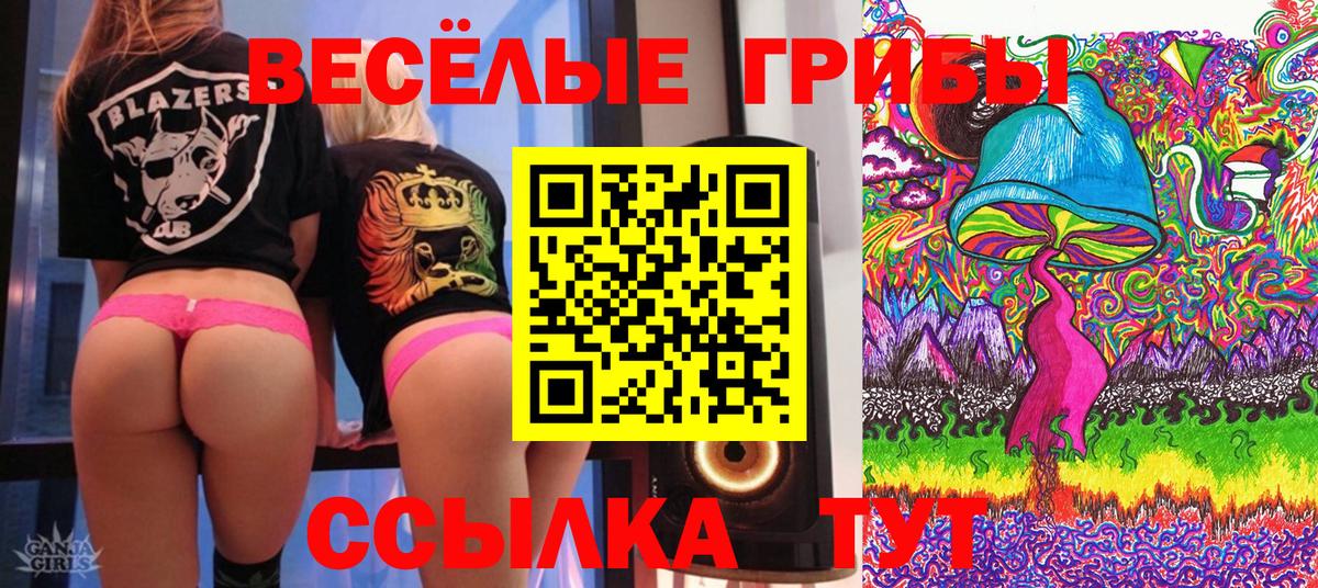 Галлюциногенные грибы мухоморы  купить наркотики сайты  Алапаевск  Вход с VPN 
